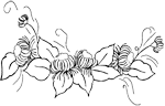 c02
