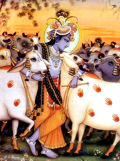 krishna-cows large